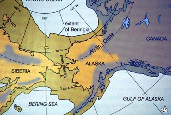 «Берингия» – так называется биогеографическая область, во время глобальных оледенений связывавшая северо-восточную Азию и северо-западную Северную Америку